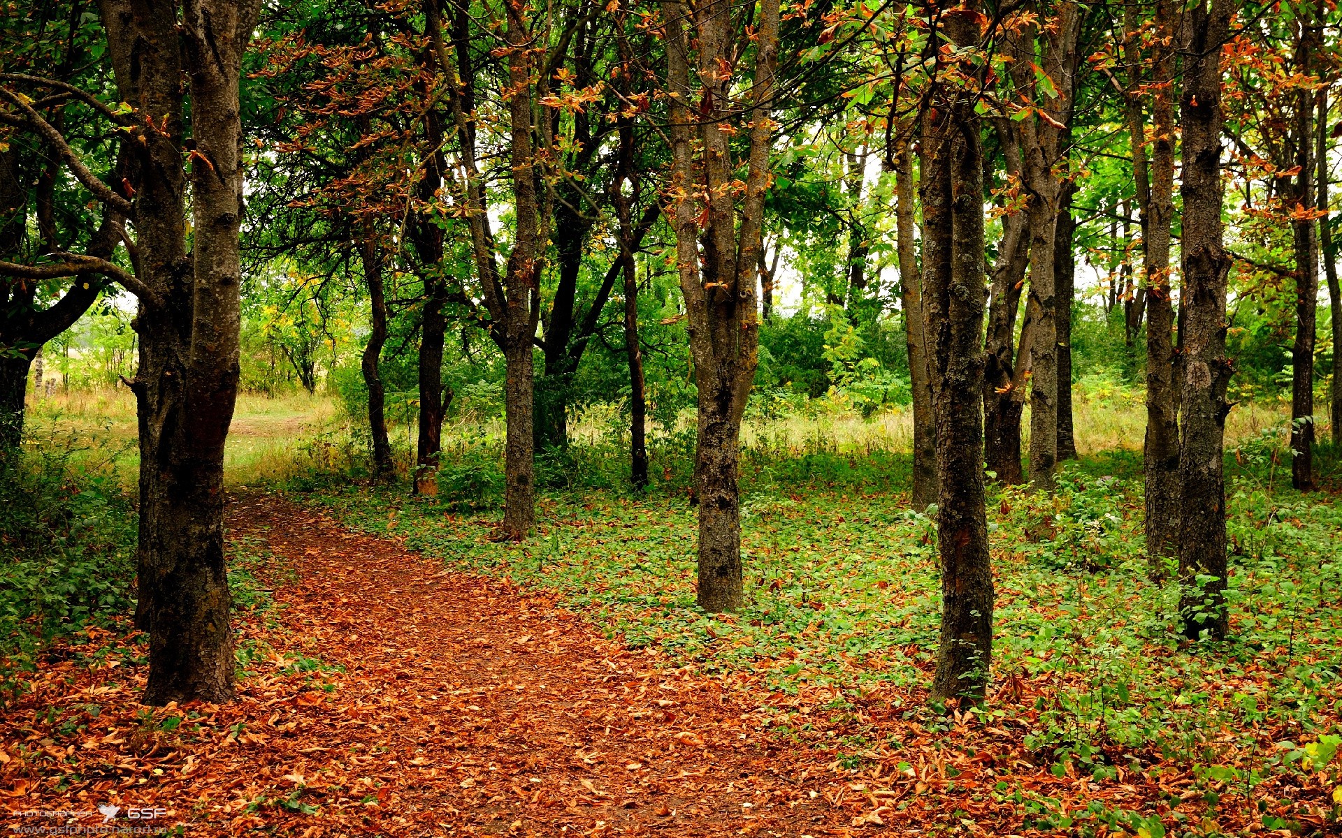 莱万之夜，当季后赛的脉搏被一手掌控