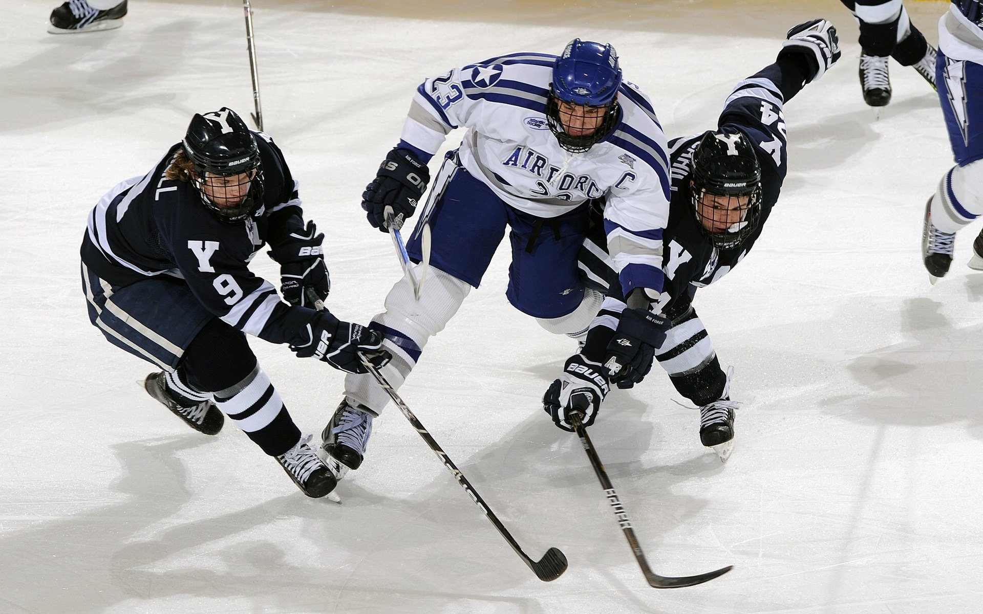 当鹈鹕掠过国王的疆土，约基奇如何用关键时刻定义伟大